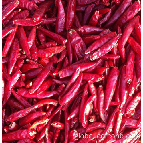 American Red Chili Dried Chili Supplier